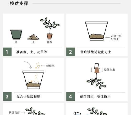 水栽草莓的技巧与方法（轻松享受自家种植的甜美果实）