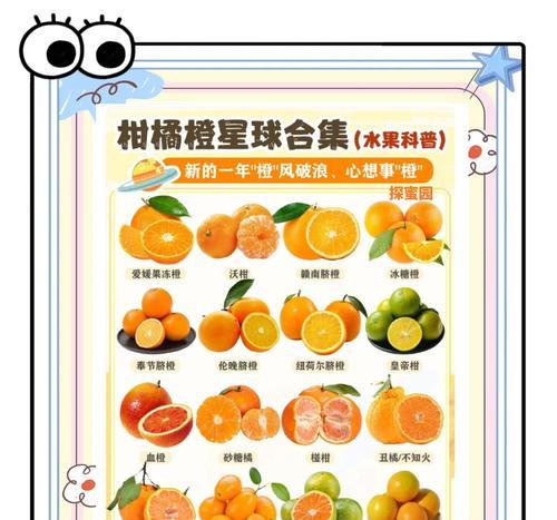 四季桔的多种食用方式（解锁四季桔的美味秘籍）