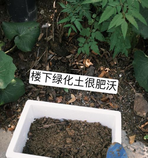 泡沫箱也能养多肉？（用泡沫箱制作多肉花园，想要尝试的）