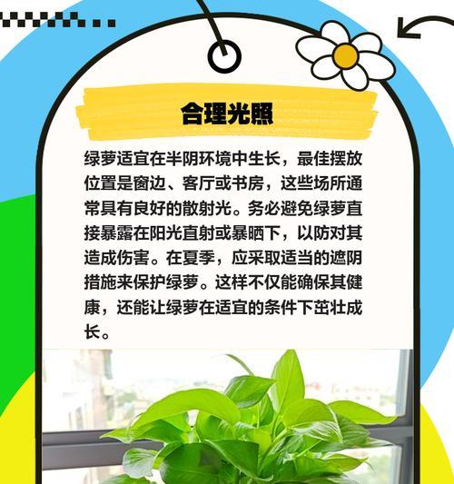 绿萝快速垂下的繁衍之道（探索绿萝垂下生长的方法及技巧）