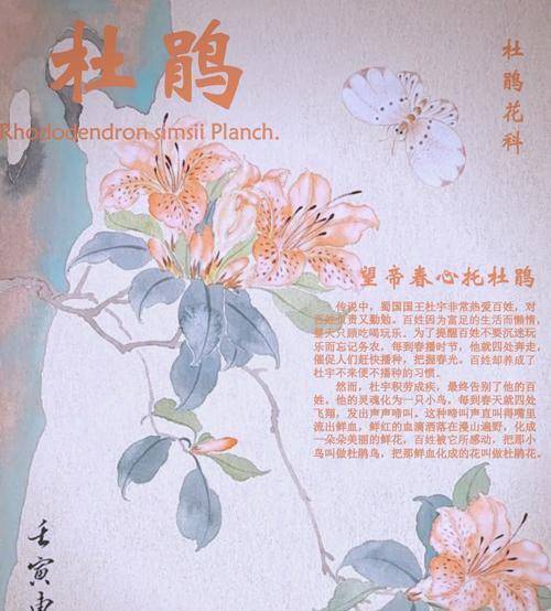野生杜鹃的剪枝技巧（了解杜鹃的生长习性，合理剪枝促进健康生长）