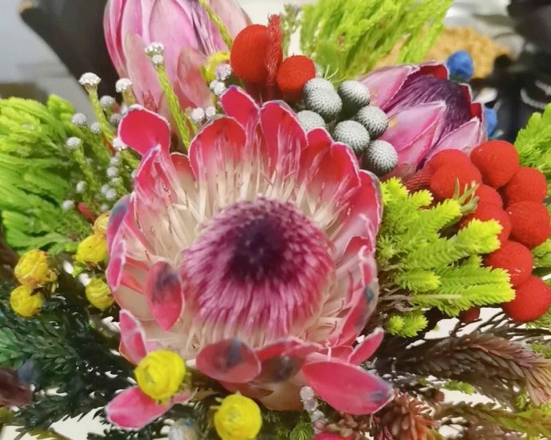 如何促进蒂亚开花？（掌握关键技巧，让蒂亚盛开绽放）