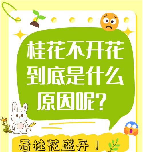 室内养花不开花怎么办（解决室内花卉开花问题的实用方法）
