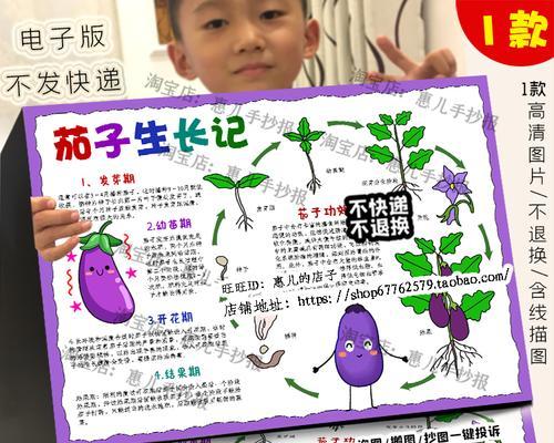 茄子生长周期及关键阶段（了解茄子的生长时间、生长周期与关键时期，助力优质产量）