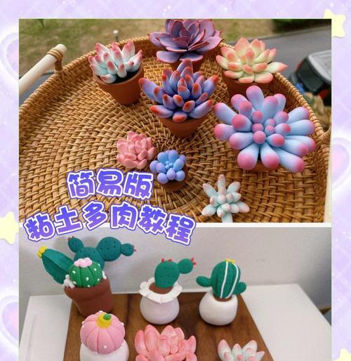 打造完美的盆栽多肉土配制方法（让你的多肉植物健康成长的土壤调配秘笈）