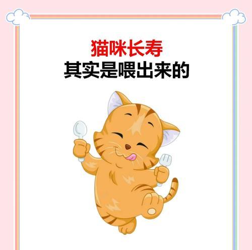 猫可否食用南瓜？（了解猫吃南瓜的好处与注意事项）