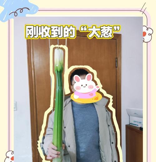 荷兰马蹄莲养殖全攻略（轻松掌握马蹄莲养护技巧，打造别具一格的花园景观）