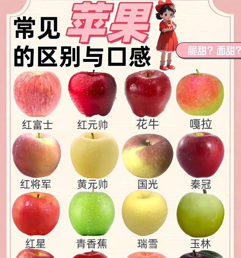 苹果哪个品种好？最全面的选购指南！（基于口感、品质、存储能力和多用途的推荐。）
