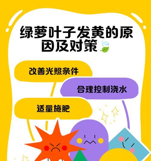 绿萝长青秘籍（守护绿萝，不让黄叶伤心）