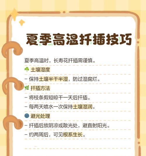 长寿花芽接的最佳时间和技术方法（掌握花卉繁殖技能，让你的长寿花开出更多的花朵）