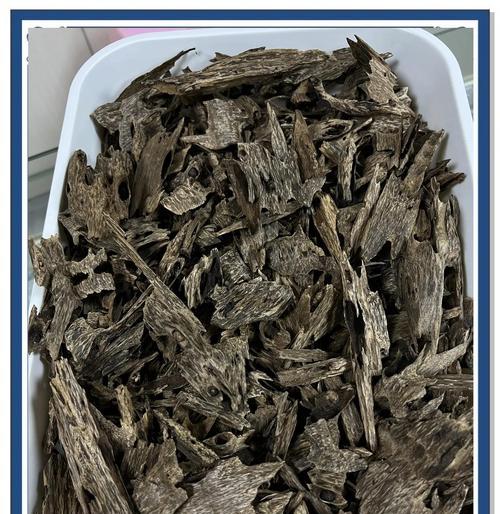 探寻沉香木的生长之谜（从分布区域到树龄研究，揭秘沉香木的成长之路）