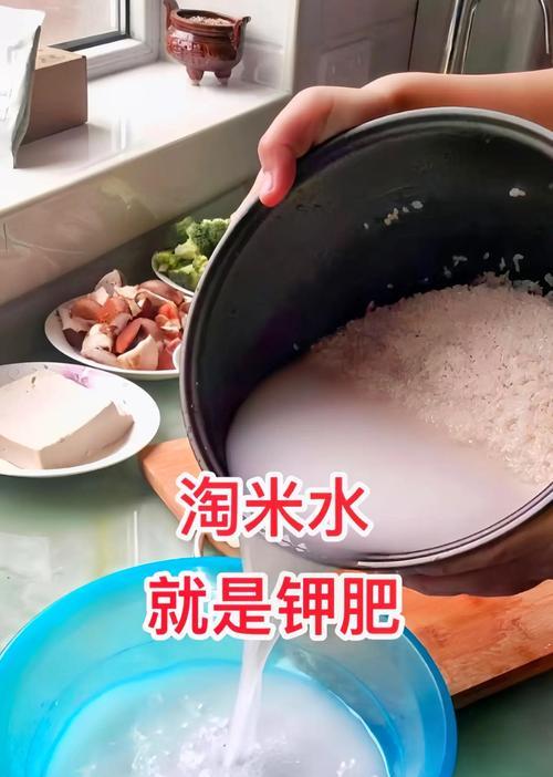 自制花肥不臭的方法（打造环保、无臭的家庭花肥，让花儿更健康）