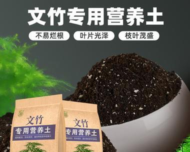 盆栽种花的土配比要点（打造营养丰富、透气保水的盆栽土配方）