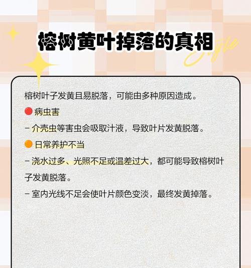红叶子为何会发黄？（探究红叶子发黄的原因和解决方法）
