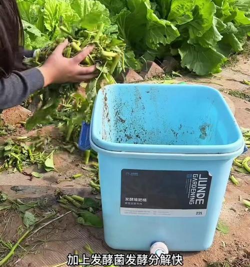 秋天种菜的肥料施用方法（科学合理施肥，让秋天的菜园丰收满满）