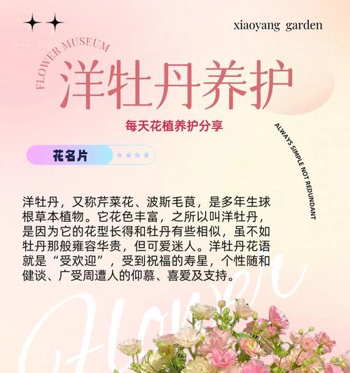 牡丹菊的花语和寓意（探究这朵花的意义与象征，让它在生活中更有价值）