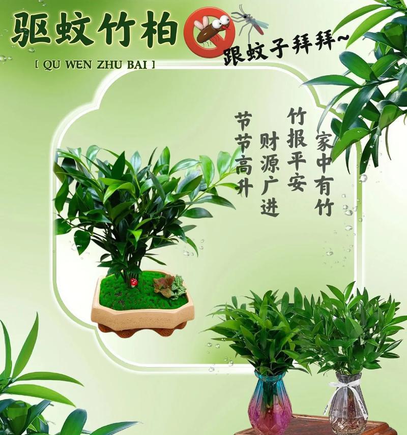 土养可以助力植物节节高（如何正确使用土养，让植物持续健康成长？）