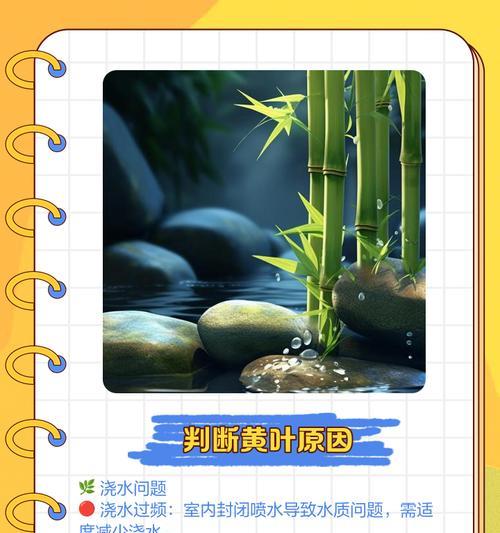 竹雨花黄叶的治疗方法与注意事项（探讨竹雨花黄叶的病因与治疗方案）