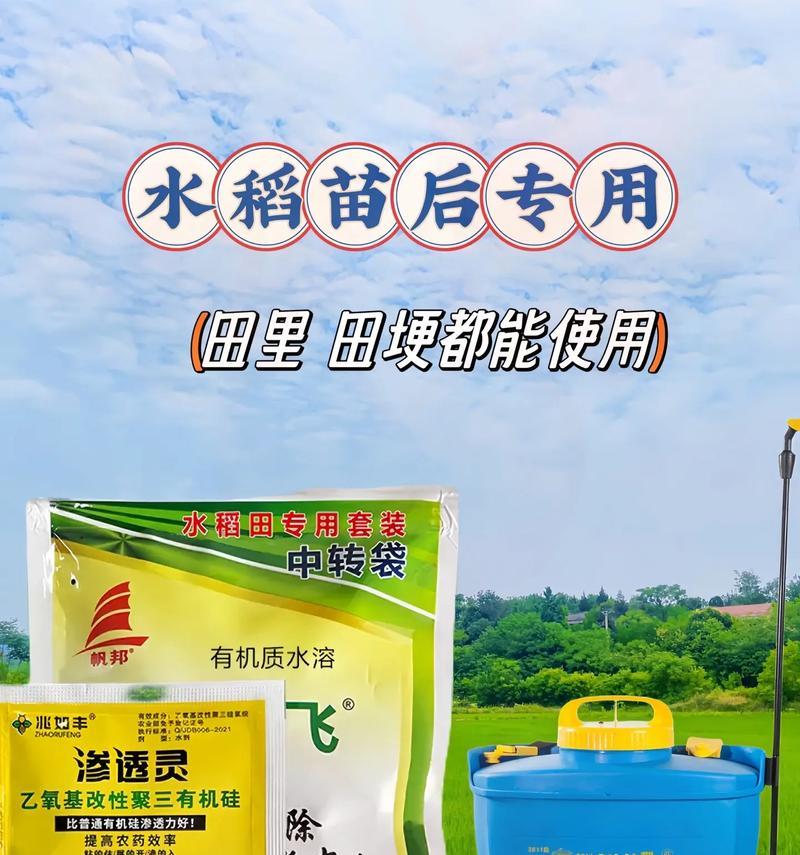 水稻肥料的选择（选择合适的肥料，提高水稻产量）