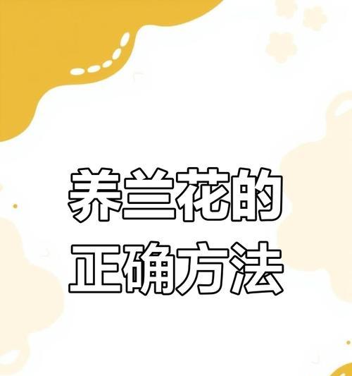 过年回家了，怎样给花浇水？（快来学习浇水技巧，为家中的花卉做好准备吧！）