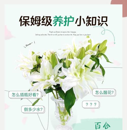 百合花期过后枝干枯的原因及处理方法（百合花枯萎的原因、预防和修复方法）
