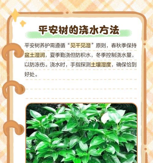 如何处理平安树酸性土壤问题（改善土壤酸性的有效方法）