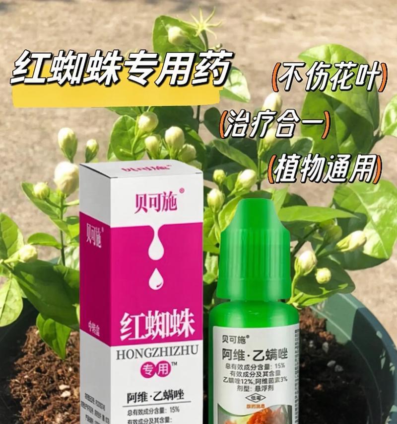 如何灭掉以花的蜘蛛？（有效对抗以花的蜘蛛的方法与技巧）