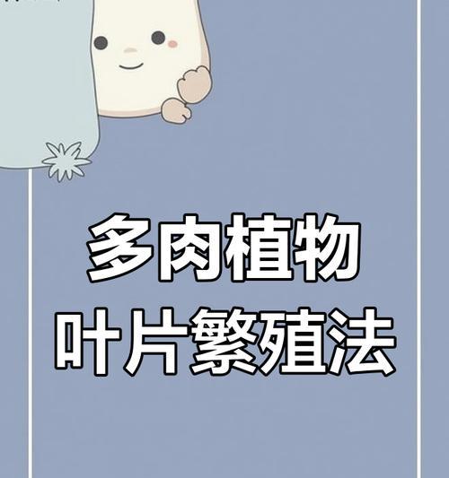 冻伤后的多肉叶片怎么种？（多肉植物冻伤后如何恢复和繁殖）