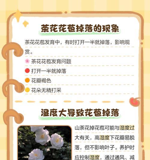 以茶花怎么梳理花苞（打造迷人茶花，从梳理花苞开始）