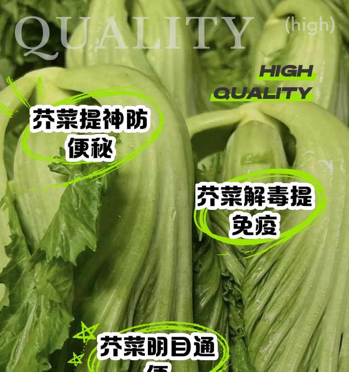 芥菜生长期长短及其影响因素（探讨芥菜生长期的关键因素和有效延长方法）
