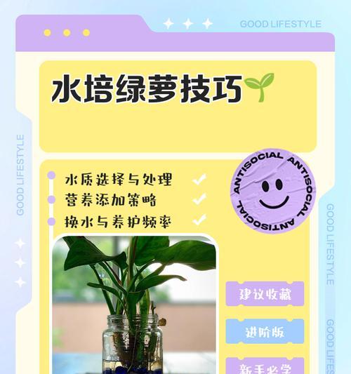 绿萝叶子上的油烟污染问题（清洗绿萝叶子，让它恢复健康）