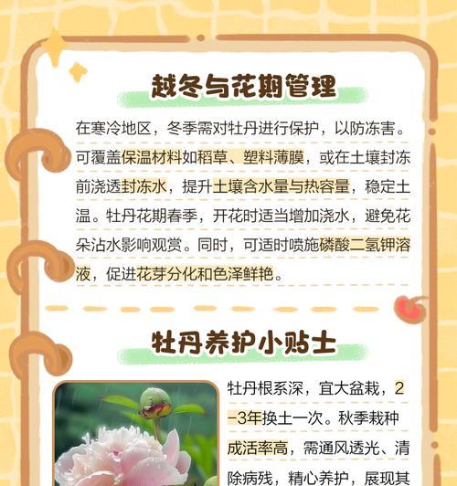 牡丹花土配制与培育技巧（打造艳丽花园，掌握牡丹花土配制的秘诀）
