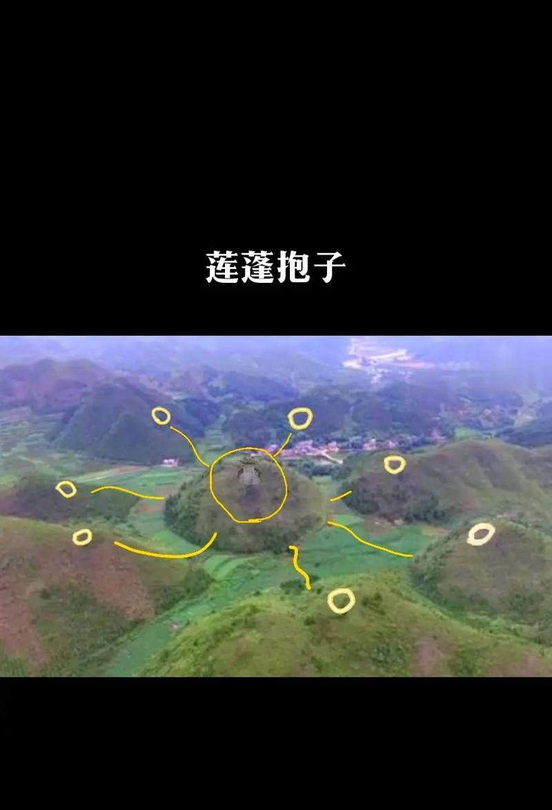 莲蓬的生长环境和习性（探寻莲蓬在哪些地方成长壮大）