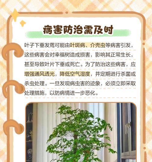 奇迹的发生（冬天的神奇变化让人惊叹不已）