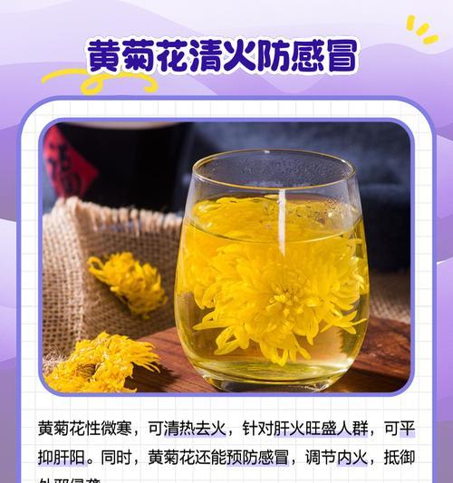 黄菊花种植指南（如何成功种植和养护黄菊花）