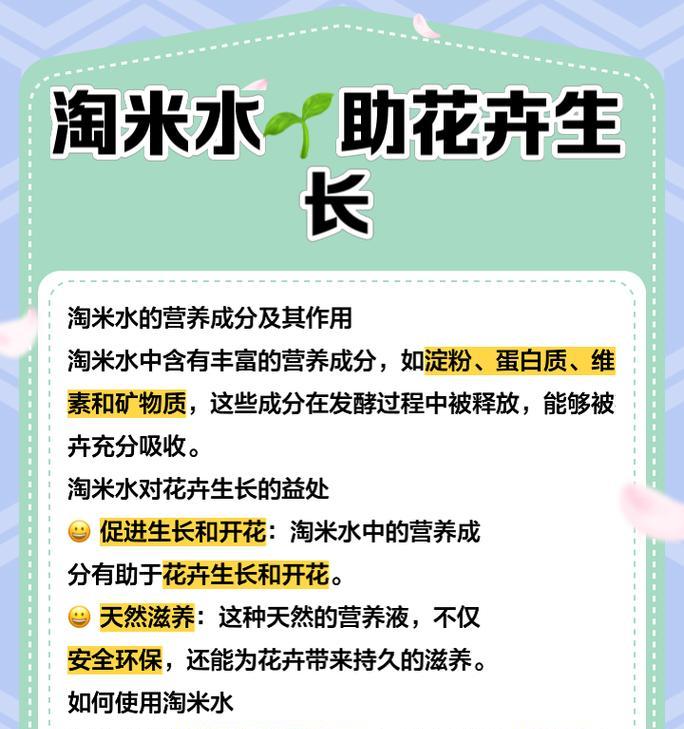 淘米水可以给茶花浇吗？（茶花爱好者必读，解决你的养护难题！）