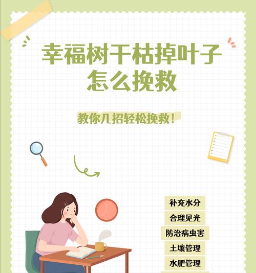 四季梅花叶子枯萎的原因及解决方法（探寻四季梅花叶子枯萎的原因与养护技巧）
