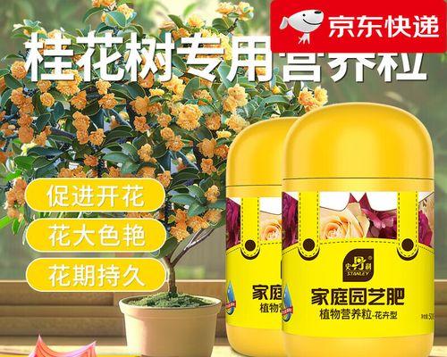 如何正确施肥养护你的桂花树？（让你的桂花花开香满园，从正确施肥开始）