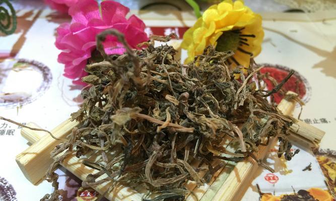 狗牙齿草的养殖技巧及注意事项（打造美丽庭院的首选植物，狗牙齿草养殖指南）