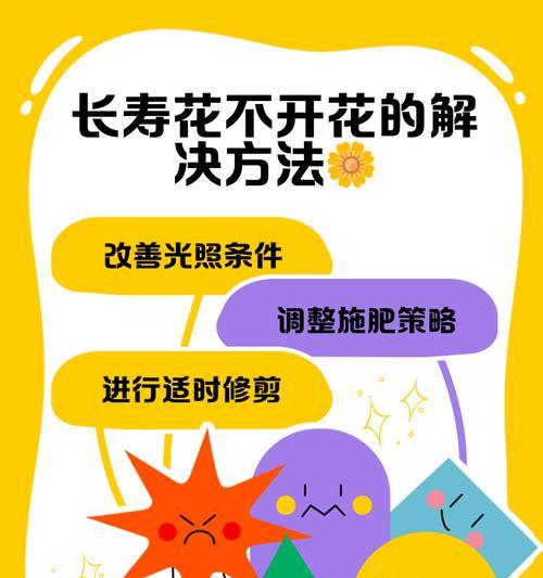 长寿花冬天不开花的原因及解决方法（揭秘长寿花冬季休眠期，教你轻松解决开花难题！）
