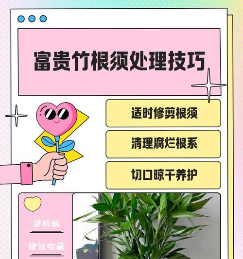 如何处理转运竹烂竹问题（有效保护转运竹烂竹的关键措施）