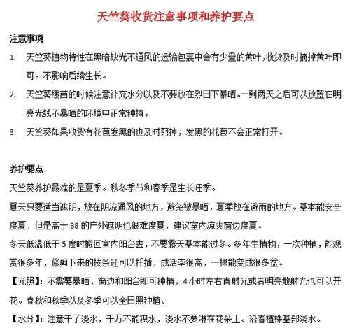 天竺葵修根指南（以天竺葵为主题的修根技巧和方法）