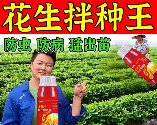 花生催芽的快捷技巧（掌握这些技巧，让你的花生催芽又快又好）