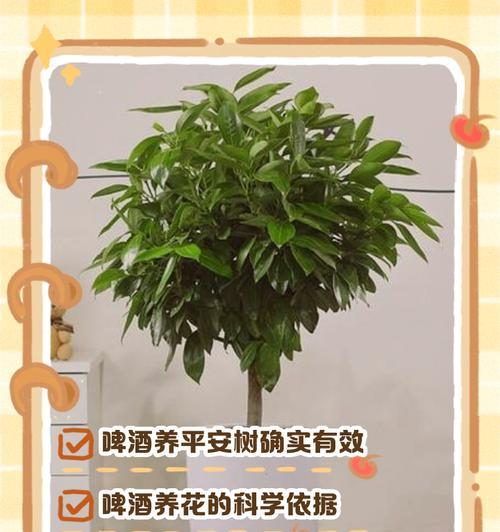 平安树的养护指南（关爱平安树，培育绿色生活）