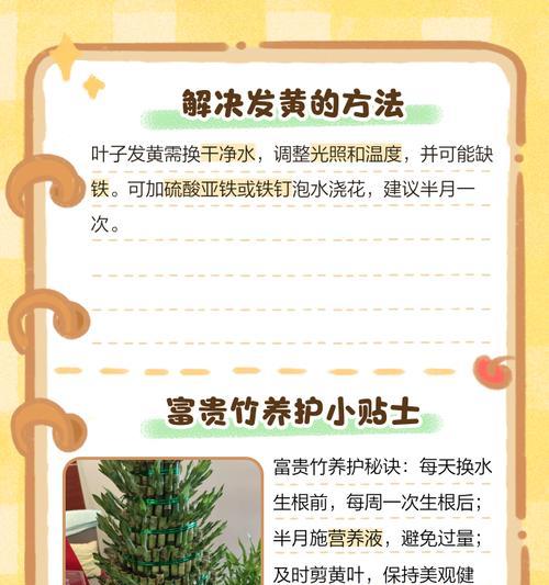 观赏竹子叶干的魅力（发现竹子叶干的美丽与实用性）
