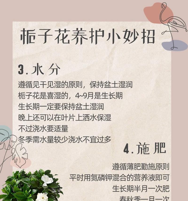 栀子花修枝养护技巧（打造栀子花枝繁叶茂的小秘籍）