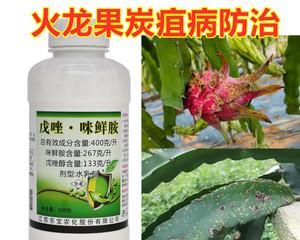 丝瓜炭疽病的防治方法（从发病原因到用药治疗，助您一一了解）