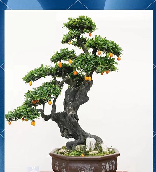 金蛋子的种植技巧与收益（打造高效种植模式，实现丰收和利润最大化）