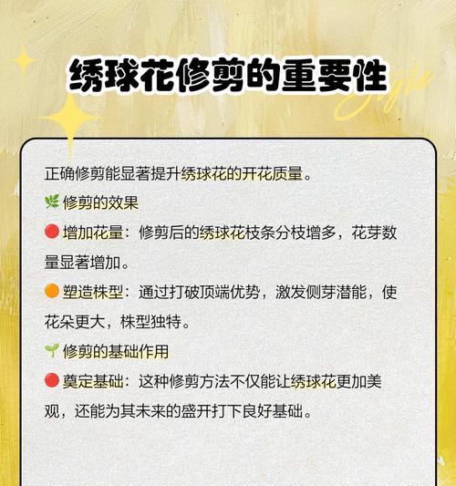 花修枝的技巧与方法（打造美丽花园的秘诀与诀窍）