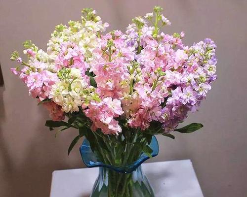阿司匹林融化浇花的神奇效果（以阿司匹林为肥料，植物生长更旺盛）